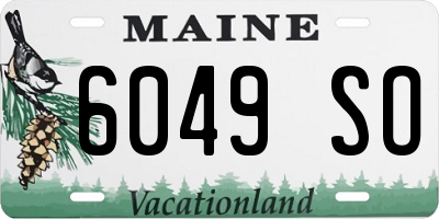 ME license plate 6049SO
