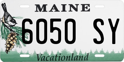 ME license plate 6050SY