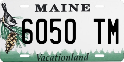 ME license plate 6050TM