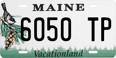 ME license plate 6050TP