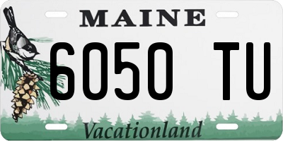 ME license plate 6050TU