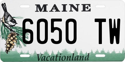 ME license plate 6050TW