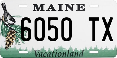 ME license plate 6050TX