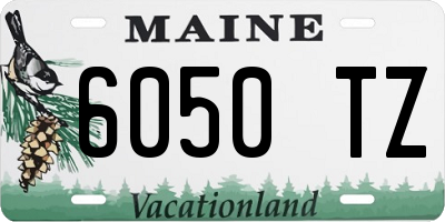 ME license plate 6050TZ