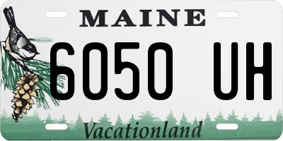 ME license plate 6050UH