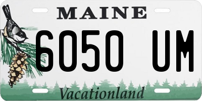 ME license plate 6050UM