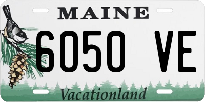 ME license plate 6050VE
