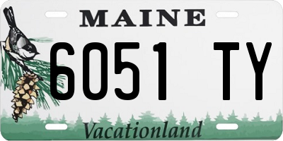 ME license plate 6051TY