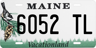 ME license plate 6052TL