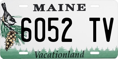 ME license plate 6052TV