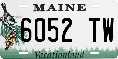 ME license plate 6052TW