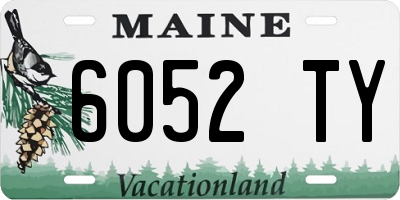 ME license plate 6052TY