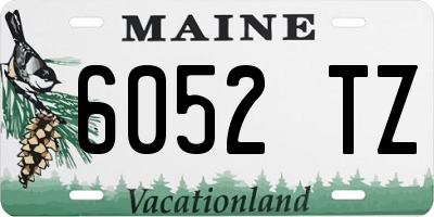 ME license plate 6052TZ