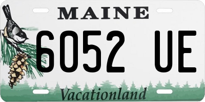 ME license plate 6052UE