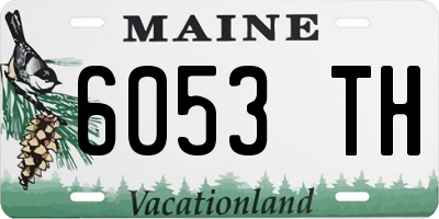 ME license plate 6053TH