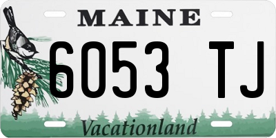 ME license plate 6053TJ