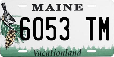 ME license plate 6053TM