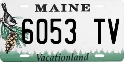 ME license plate 6053TV
