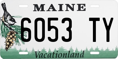 ME license plate 6053TY