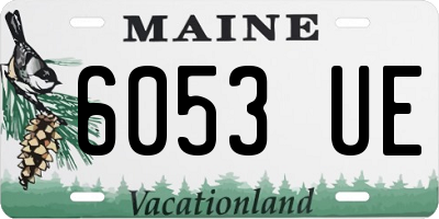 ME license plate 6053UE