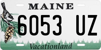 ME license plate 6053UZ