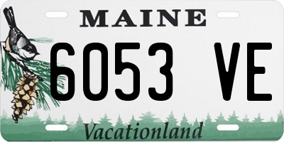 ME license plate 6053VE