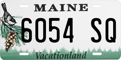 ME license plate 6054SQ
