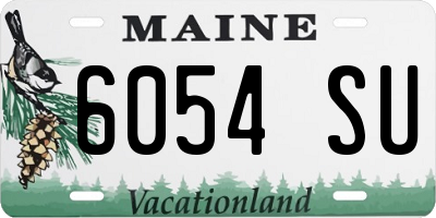 ME license plate 6054SU