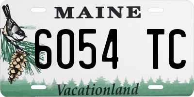 ME license plate 6054TC