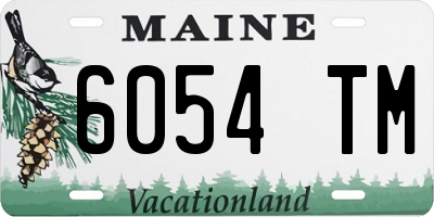 ME license plate 6054TM