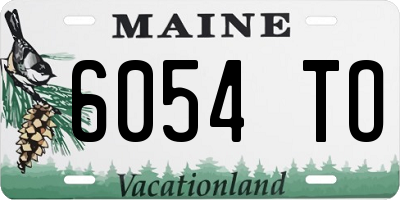 ME license plate 6054TO
