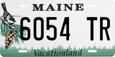 ME license plate 6054TR