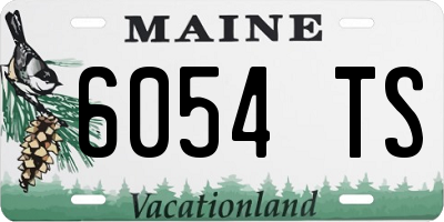 ME license plate 6054TS
