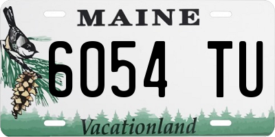 ME license plate 6054TU