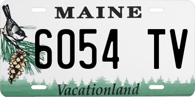 ME license plate 6054TV