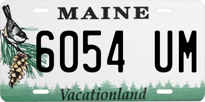 ME license plate 6054UM