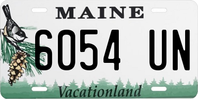 ME license plate 6054UN