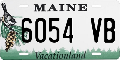 ME license plate 6054VB