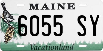 ME license plate 6055SY