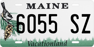 ME license plate 6055SZ