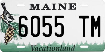 ME license plate 6055TM