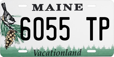 ME license plate 6055TP