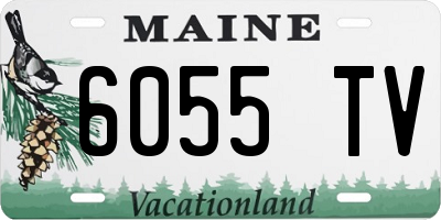 ME license plate 6055TV