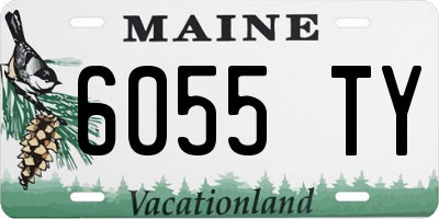 ME license plate 6055TY