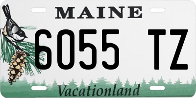 ME license plate 6055TZ