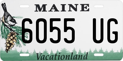 ME license plate 6055UG