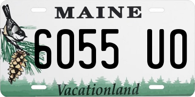 ME license plate 6055UO