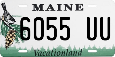 ME license plate 6055UU