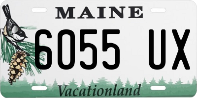 ME license plate 6055UX