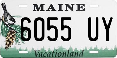 ME license plate 6055UY